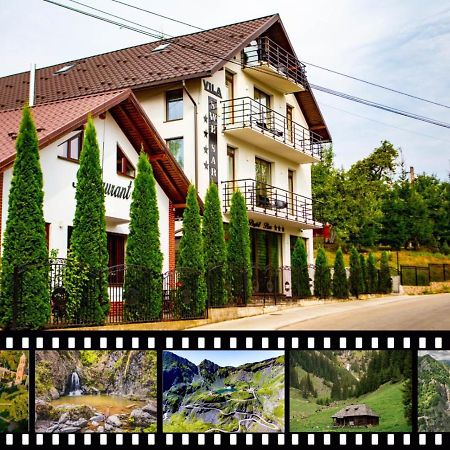 Hotel Vila Swe Sar Curtea de Argeş Exteriér fotografie