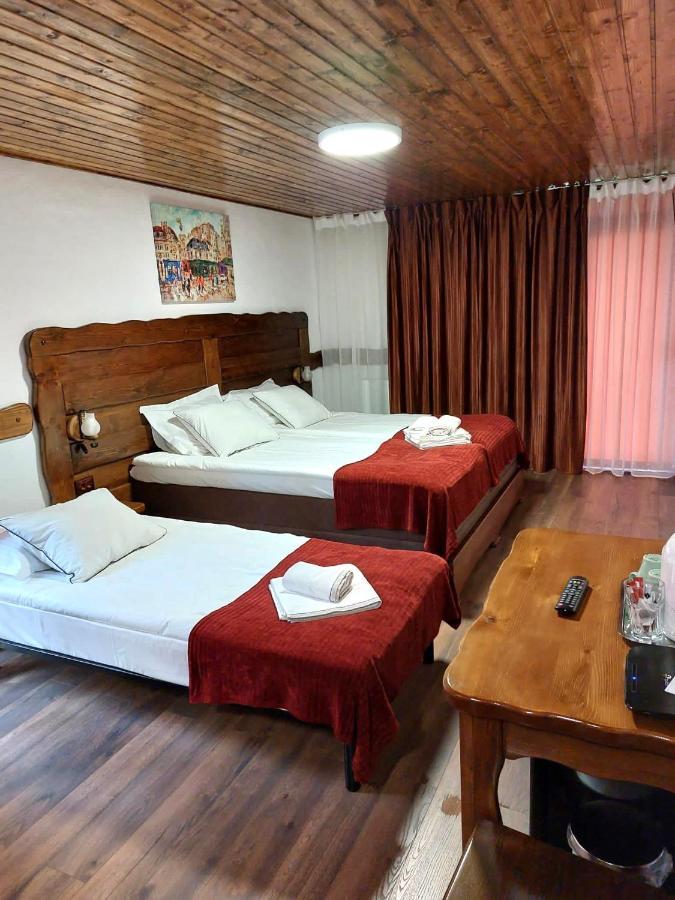 Hotel Vila Swe Sar Curtea de Argeş Exteriér fotografie